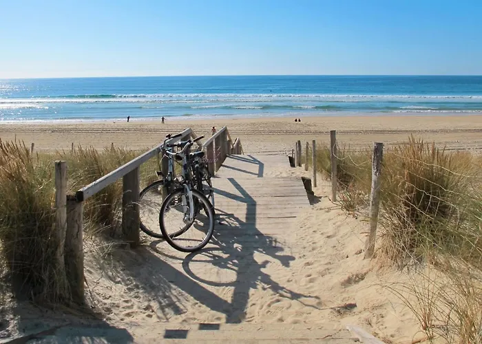 Belle Dune-1 By Interhome Lejlighed *