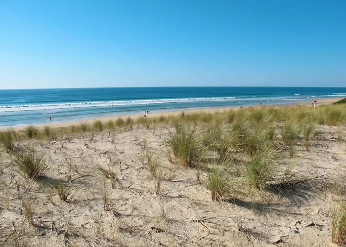 Belle Dune-1 By Interhome Lejlighed Biscarrosse-Plage